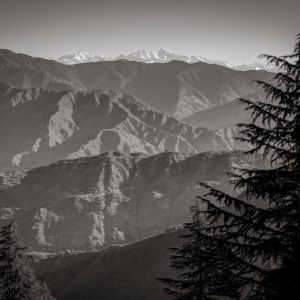 Taking Better Landscapes